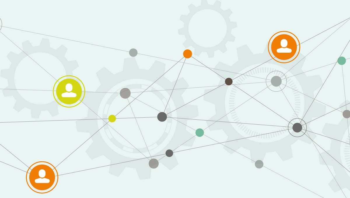 Network web distribution