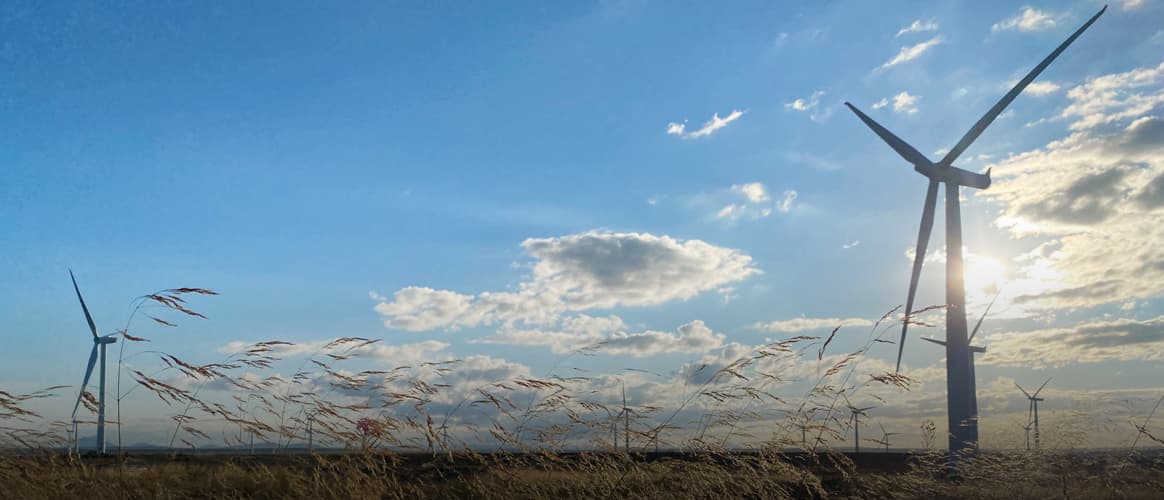 windfarm in fields