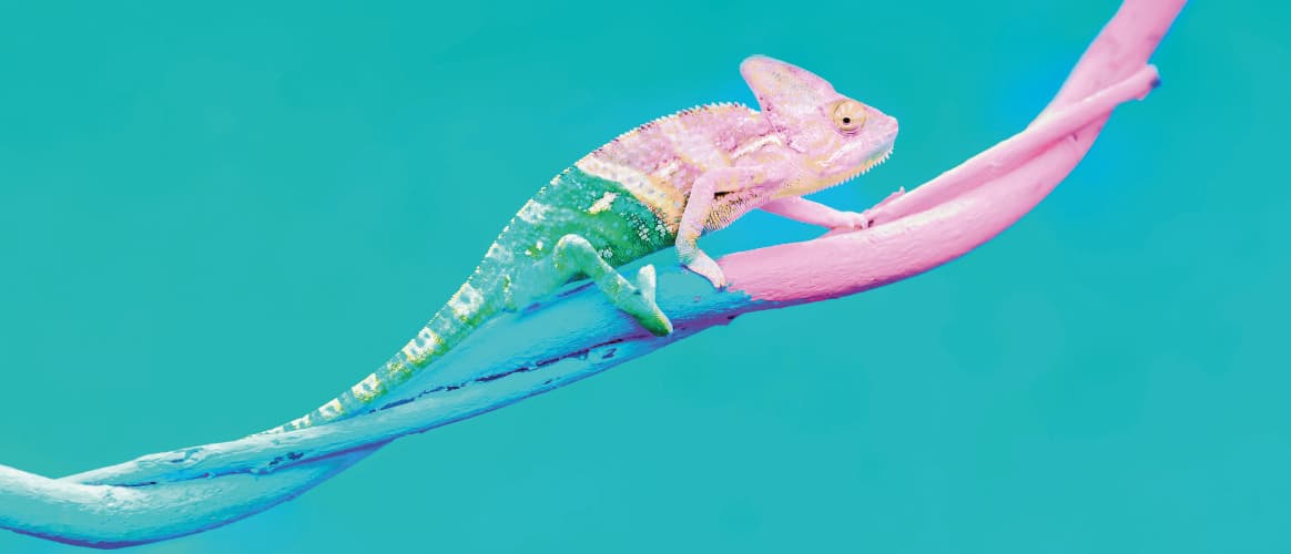 chameleon infra main Apr25 cover t9