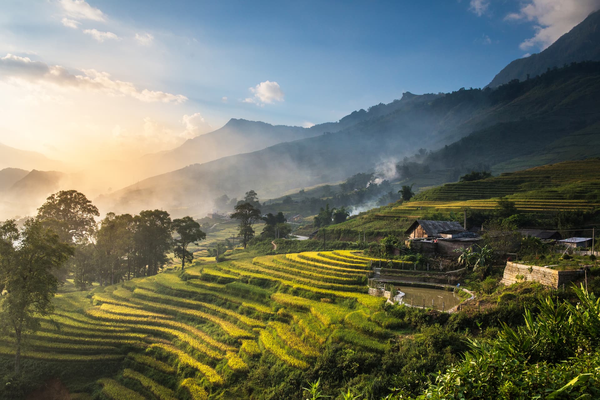 Rice fields Northwest Vietnam