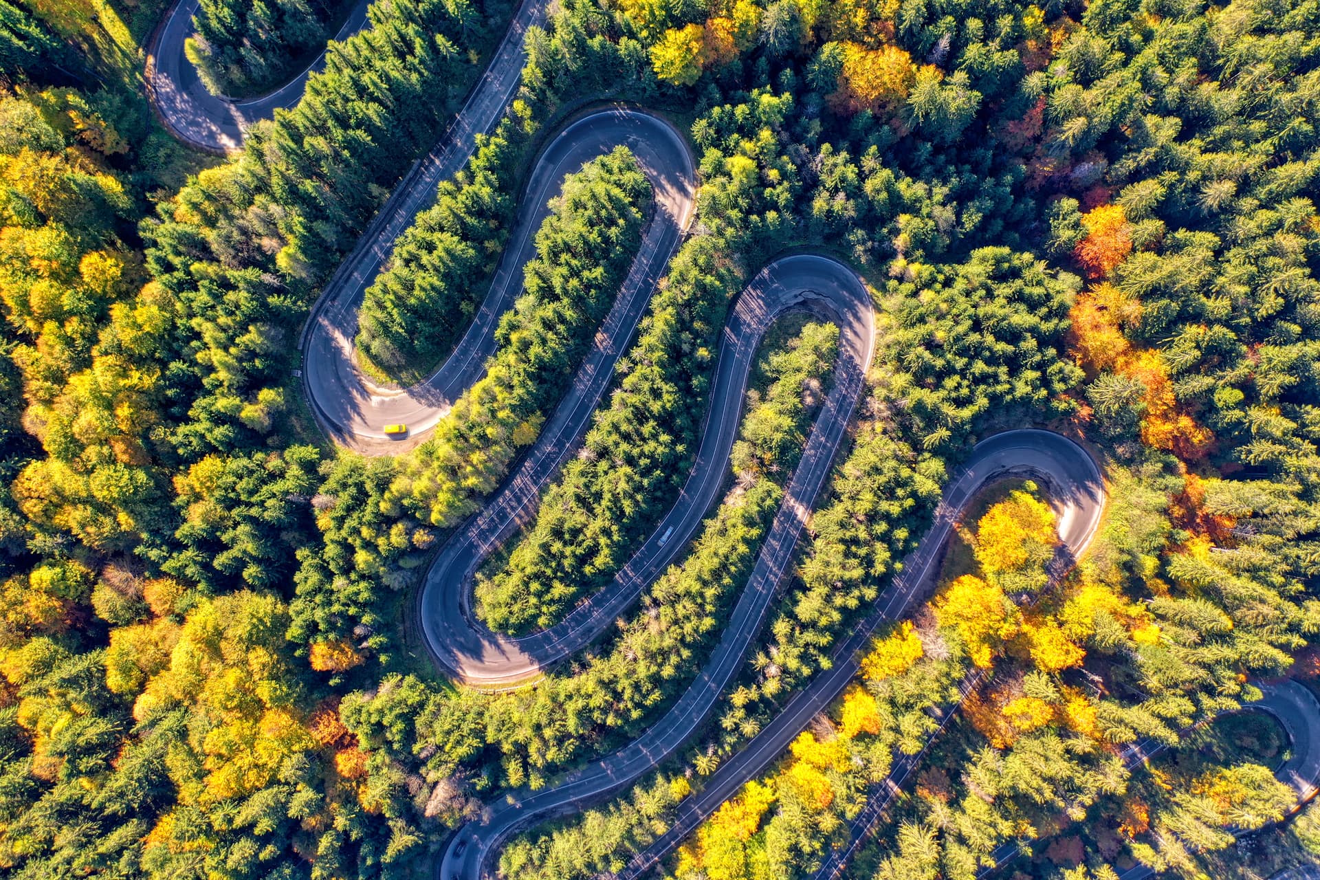 roadmap