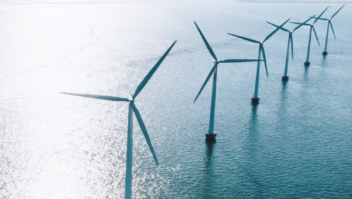 Offshore wind farm